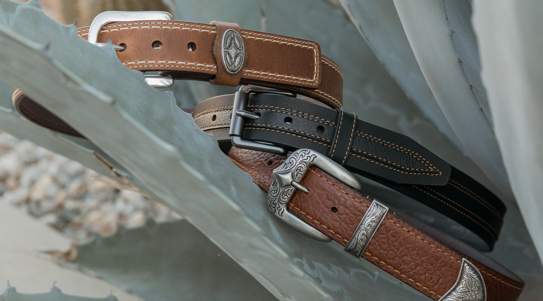 lejon belts